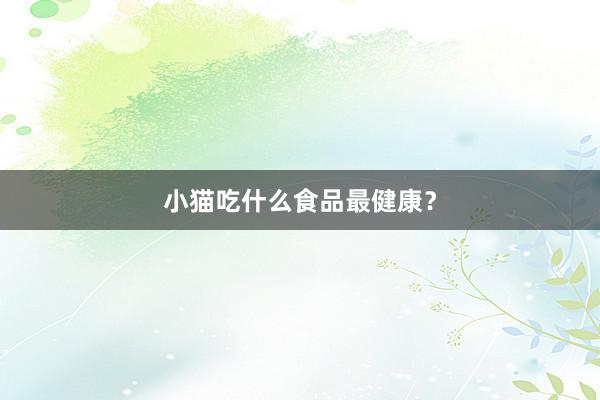 小猫吃什么食品最健康？